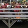 03_130520_img_8_20160112_1097095897