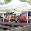 12_130520_img_8_20160112_1659212241